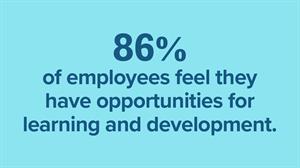 86% of our employees feel they have opportunities for learning and development.