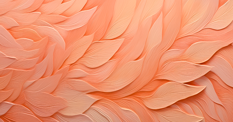 2024 Color of the Year: Peach Fuzz