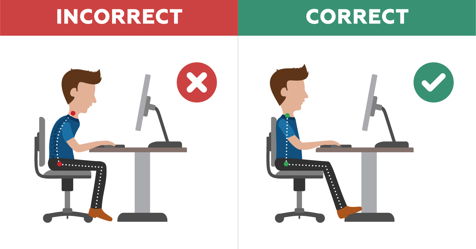 Everything You've Ever Wanted to Know about Ergonomics