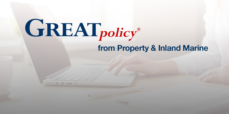 Female on laptop with GreatPolicy logo
