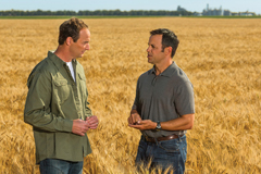 Male agent and farm owner in corn field
