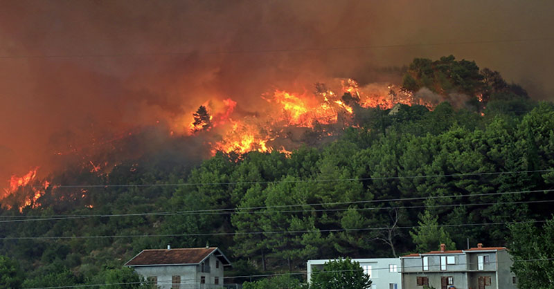 wildfire in foret above homes