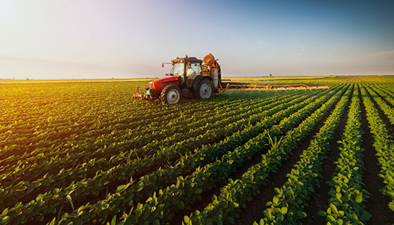 Red tractor harvesting in the middle of a crop field