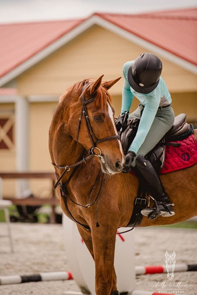 Rider on horse competing