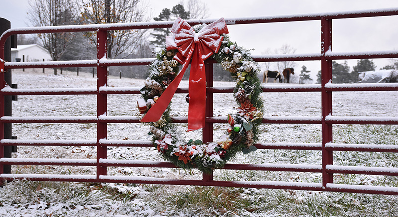 Snowy wreath in front of fence