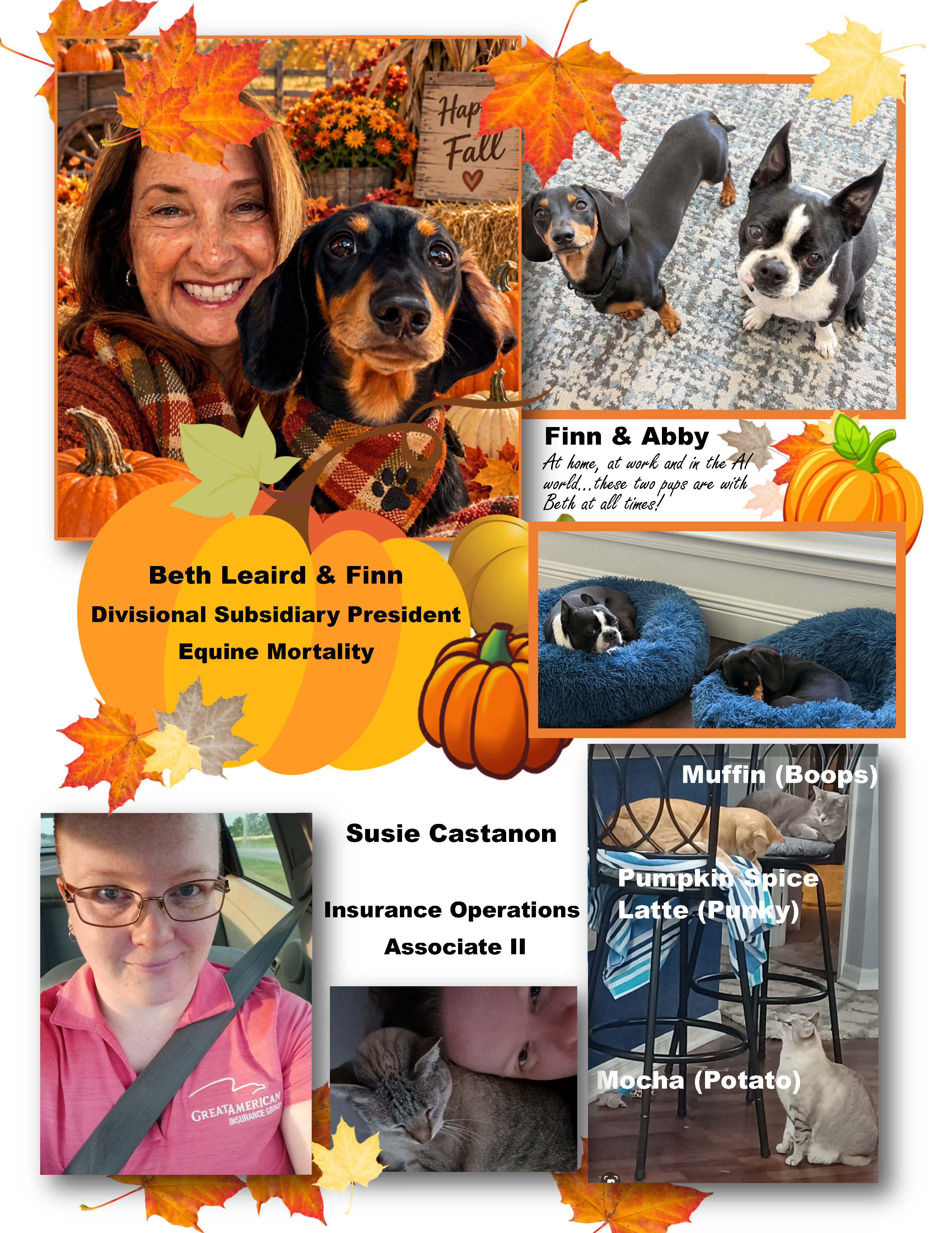 Petparazzi Sept 2026