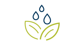 Plant with water drops icon