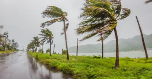 A coastal road with palm trees bending in strong winds under an overcast sky. The wet ground suggests recent rain. A body of water and distant mountains are visible, indicating stormy weather conditions.